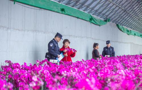 新疆伊犁 民警深入大棚话平安