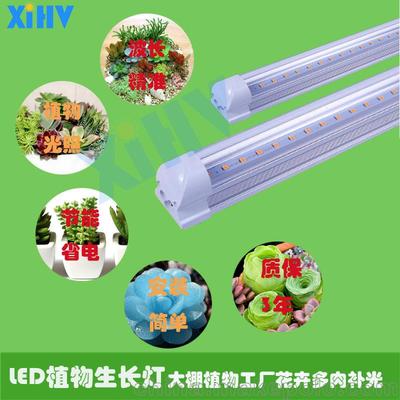 植物工厂花卉多肉盆栽层架式种植补光灯LED-T8灯管