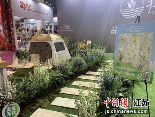 2023中花大会在无锡启幕 汇集千余种花卉产品