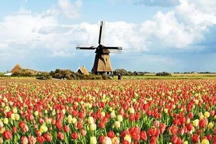 欧洲商务考察分别有哪些国家行业值得参访