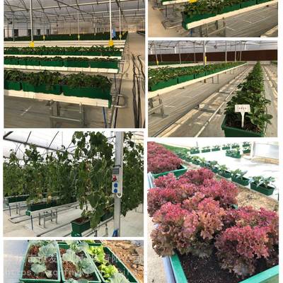 主营产品:泥炭土、绿化种植土、花卉栽培基质、育苗基质