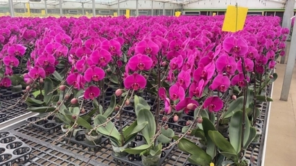 挂牌!嵩明一企业再添国字头