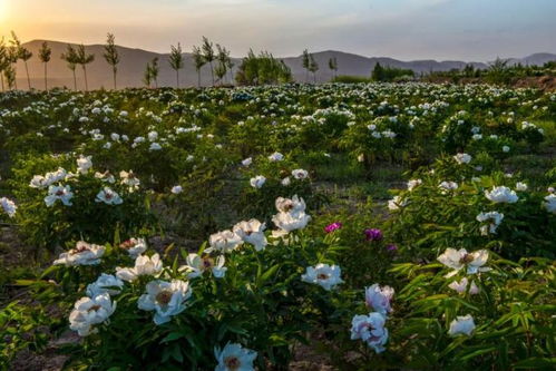 会宁乡村旅游节,小编带你这样耍