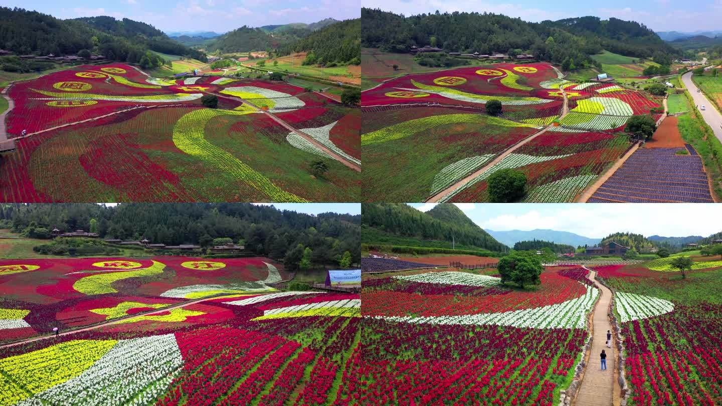 4K 田园花海花卉种植旅游观光4