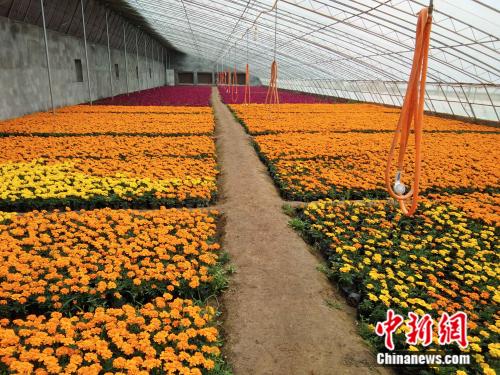 红土地上 拔穷根 河北革命老区平山县脱贫 摘帽 纪实