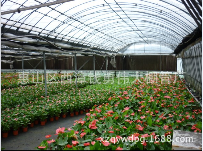 【厂家直销 产品质量好价格便宜盆栽种植大棚 花卉大棚】价.